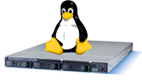 Linux dedicated server India